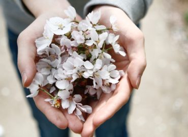 soulhealing_healingforabrokenheart