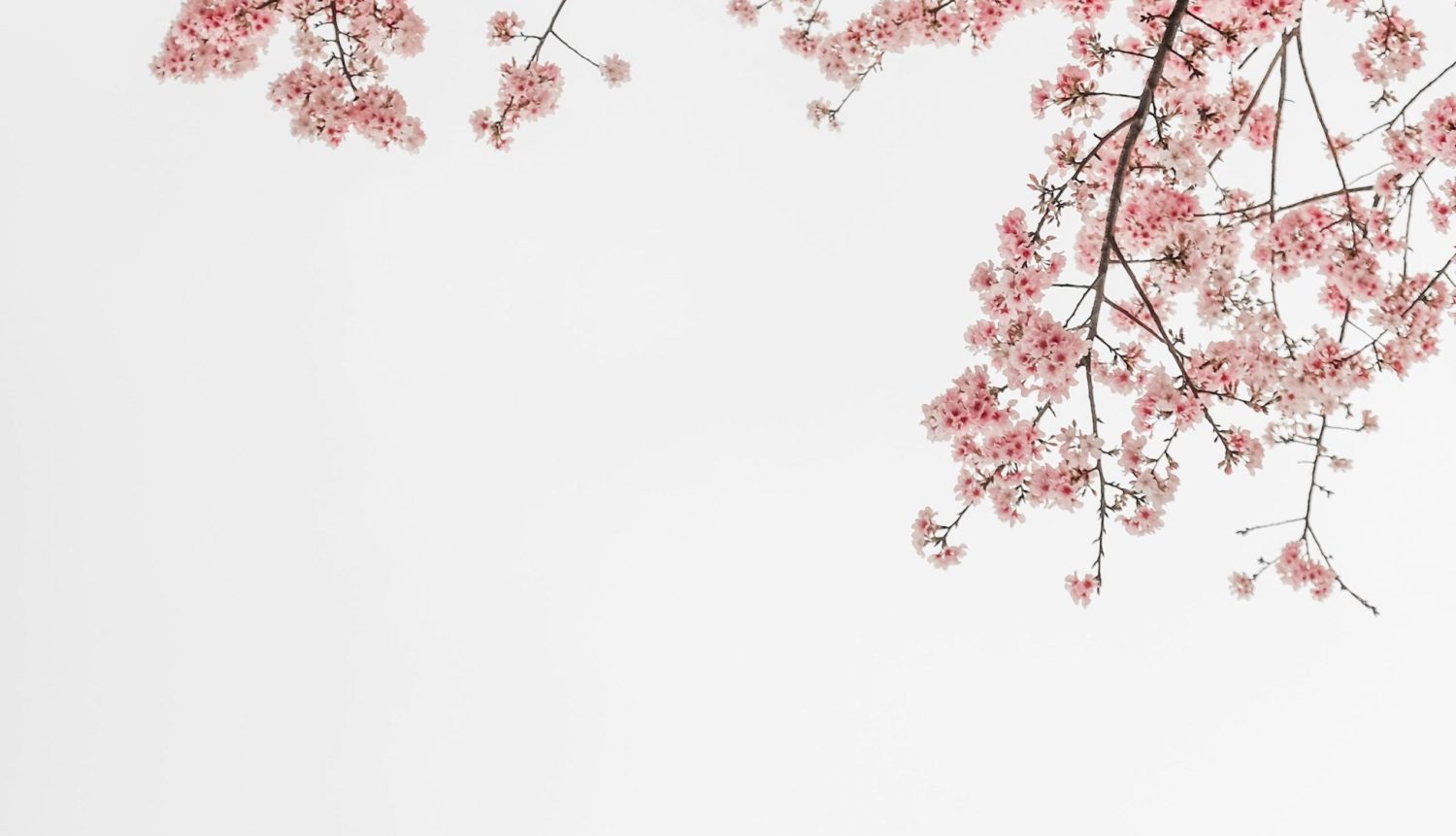 lifecoachnearme_life-coach.biz